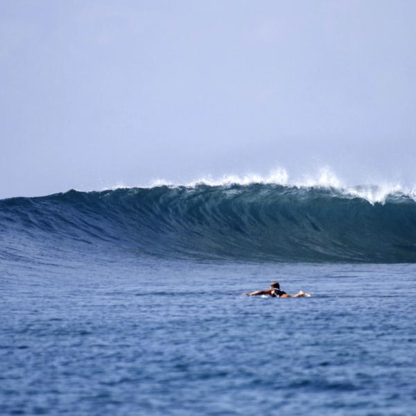 season paradise hotel thulusdhoo island maldives surf trip cokes chickens jailbreaks stoked surf adventure