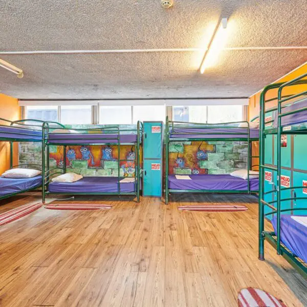 mojo surf byron bay surf camp arts factory australia 2