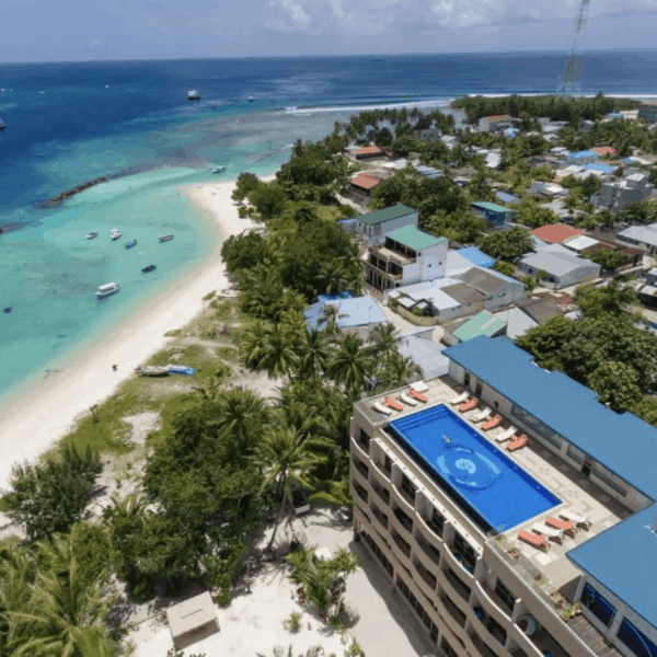 season paradise thulusdhoo island maldives surf hotel cokes chickens