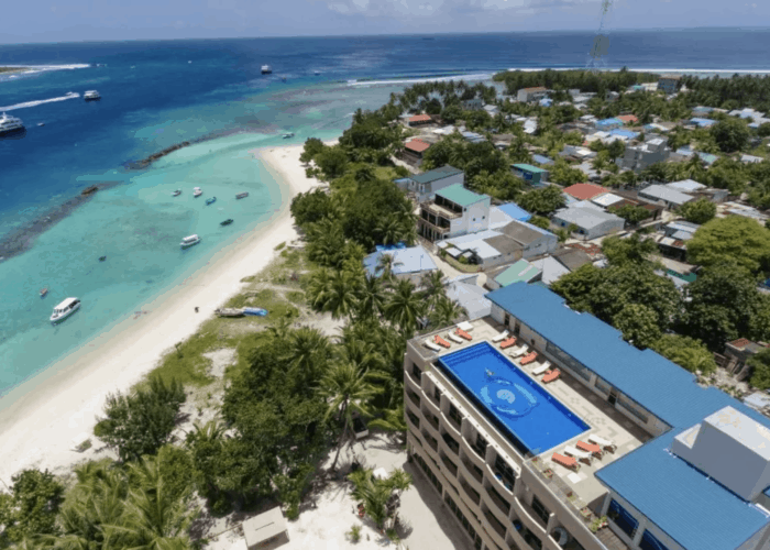 season paradise thulusdhoo island maldives surf hotel cokes chickens
