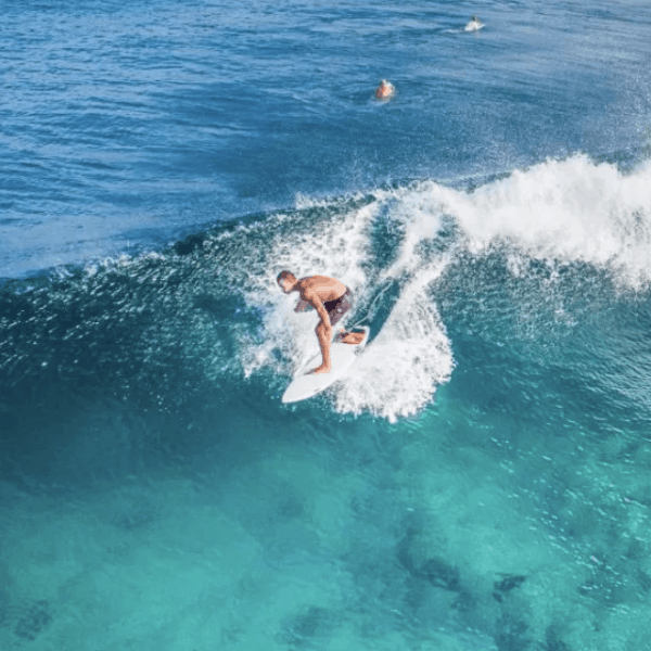 season paradise thulusdhoo island maldives surf hotel cokes chickens