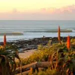 south africa surf instructor course ticket to ride isa level 1 surf coach course cape town durban