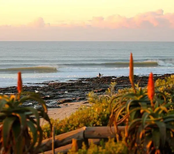 south africa surf instructor course ticket to ride isa level 1 surf coach course cape town durban