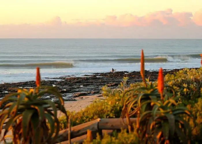 south africa surf instructor course ticket to ride isa level 1 surf coach course cape town durban