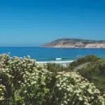 south africa surf instructor course ticket to ride isa level 1 surf coach course cape town durban