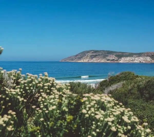 south africa surf instructor course ticket to ride isa level 1 surf coach course cape town durban