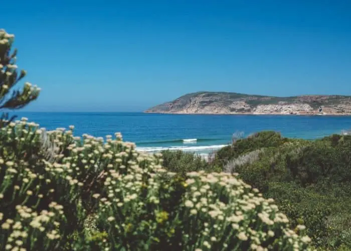 south africa surf instructor course ticket to ride isa level 1 surf coach course cape town durban