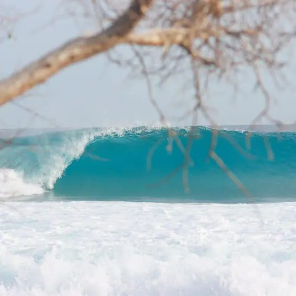 pasta point maldives surf resort cinnamon dhonveli surfer package stoked surf adventures