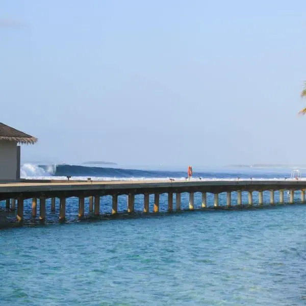 pasta point maldives surf resort cinnamon dhonveli surfer package stoked surf adventures