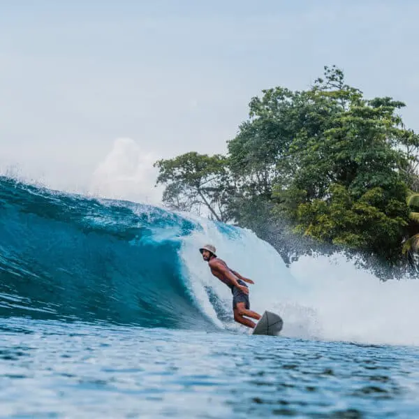 driftwood mentawai surf camp mentawais ments burger world