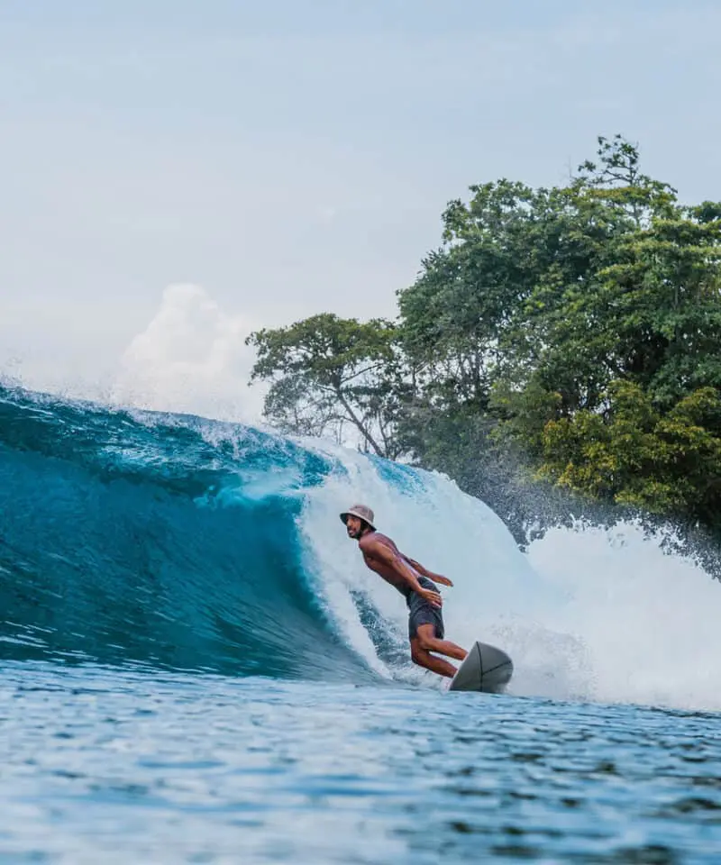 driftwood mentawai surf camp mentawais ments burger world