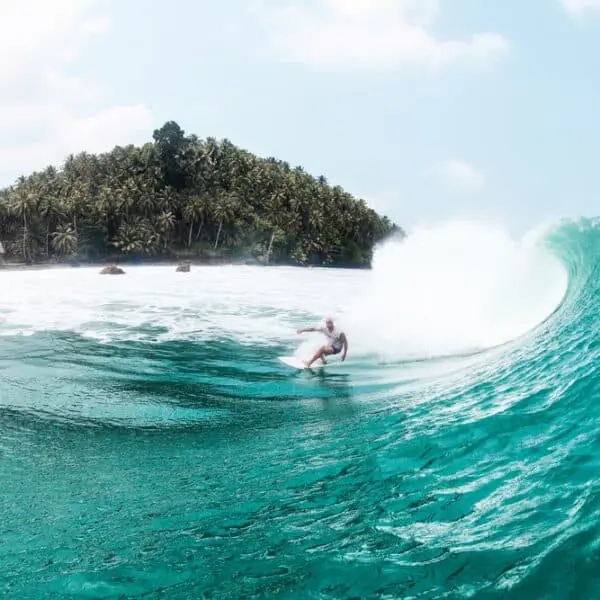 driftwood mentawai surf camp mentawais ments ebays