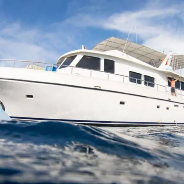 mentawai surf charter mentawai surf co Sola Gracia islands indonesia surfing luxury