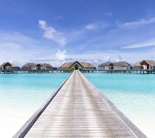 niyama private island maldives surf resort vodi the crescent