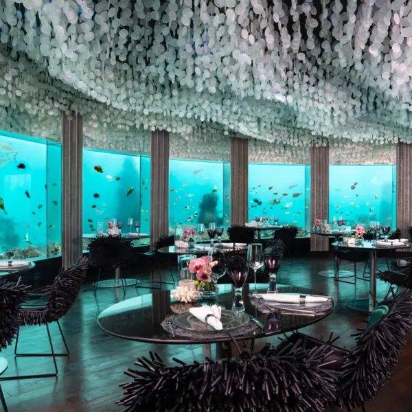 niyama private islands maldives surf resort vodi private wave stoked surf adventures luxury surf trip