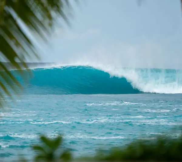 surfing hts mentawai surf resort lances right hollow trees resort mentawai islands
