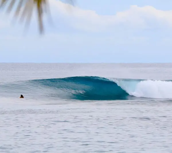 surfing hts mentawai surf resort lances right hollow trees resort mentawai islands