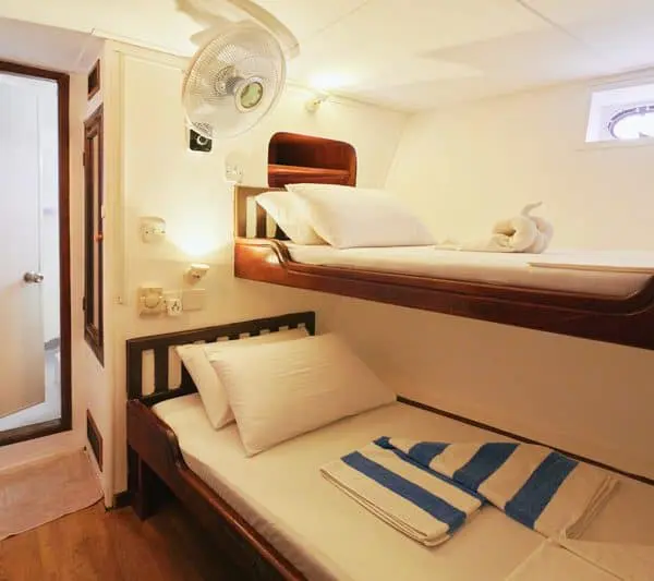 horizon 2 maldives surf charter boat