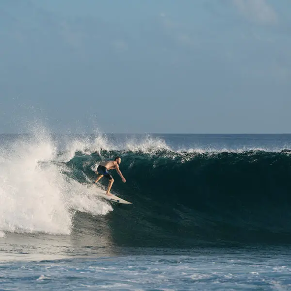 kuda villingili maldives surf resort chickens cokes north male stoked surf adventures