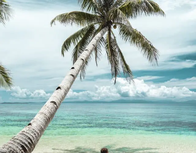 Mao Mao Surf Siargao surf camp learn to surf philippines hostel