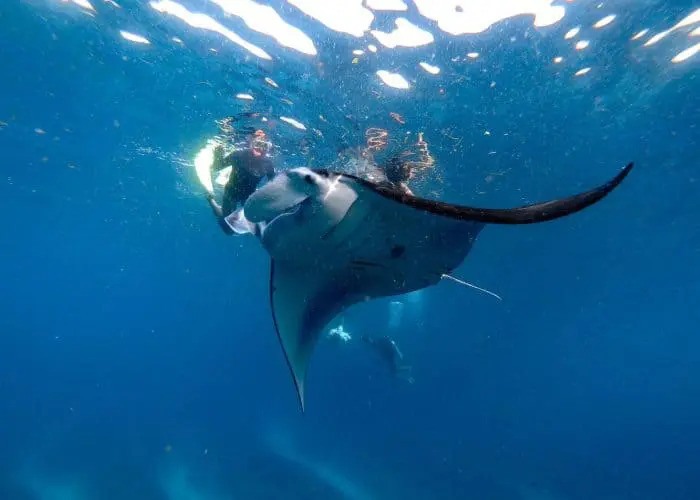 nusa lembongan surf trip surf camp mojo surf learn to surf bali indonesia