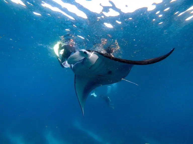 nusa lembongan surf trip surf camp mojo surf learn to surf bali indonesia