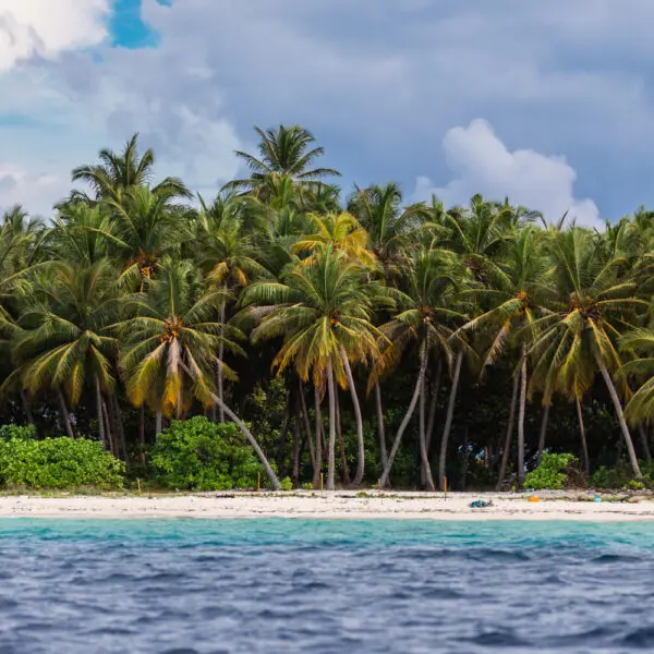 surf house by konalle Gaafu Dhaalu atoll maldives local island surfing surf camp southern atolls stoked surf adventures