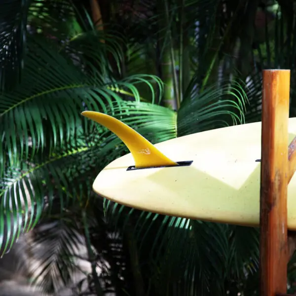 surf and yoga arugam bay surf camp sri lanka learn to surf east coast sri lanka season