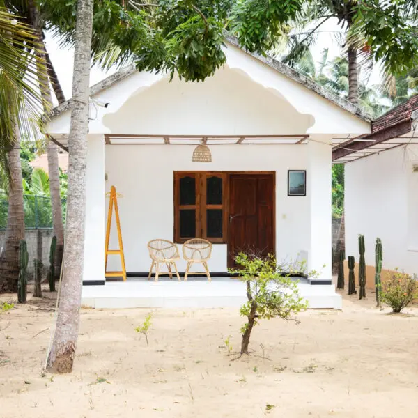 surf and yoga arugam bay surf camp sri lanka learn to surf east coast sri lanka season