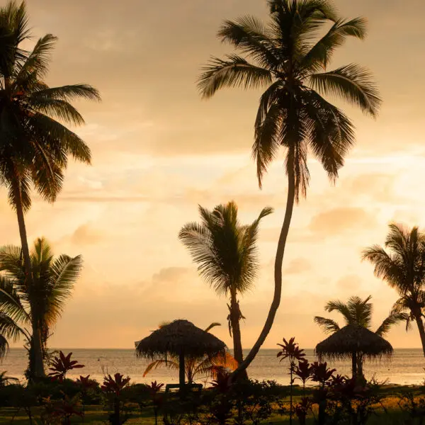 fiji surf resort fiji surf trip waidroka bay resort stoked surf adventures