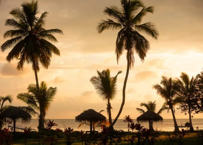 fiji surf resort fiji surf trip waidroka bay resort stoked surf adventures