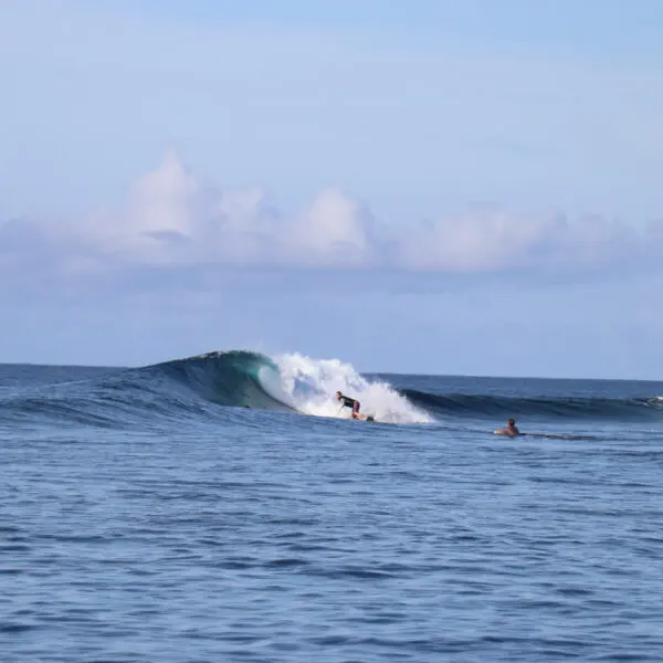 fiji surf resort fiji surf trip waidroka bay resort stoked surf adventures