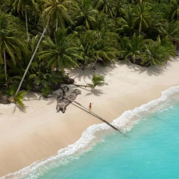 awera resort mentawai islands luxury surf trip stoked surf adventures