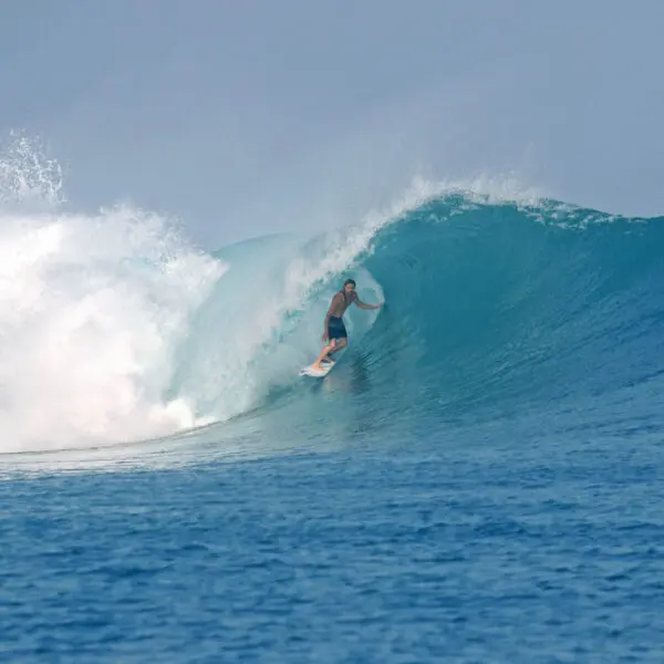 awera resort mentawai islands luxury surf trip stoked surf adventures