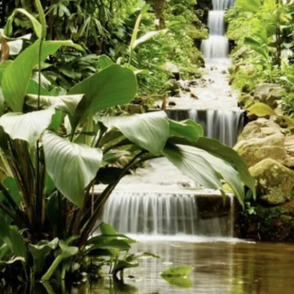 awera resort mentawai islands luxury surf trip stoked surf adventures