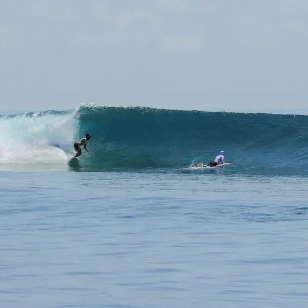 renegade surf travel Malé & Central Atolls Maldives Surf Coaching Charter stoked surf adventures