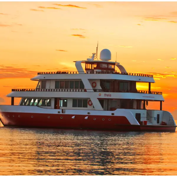 renegade surf travel Malé & Central Atolls Maldives Surf Coaching Charter stoked surf adventures