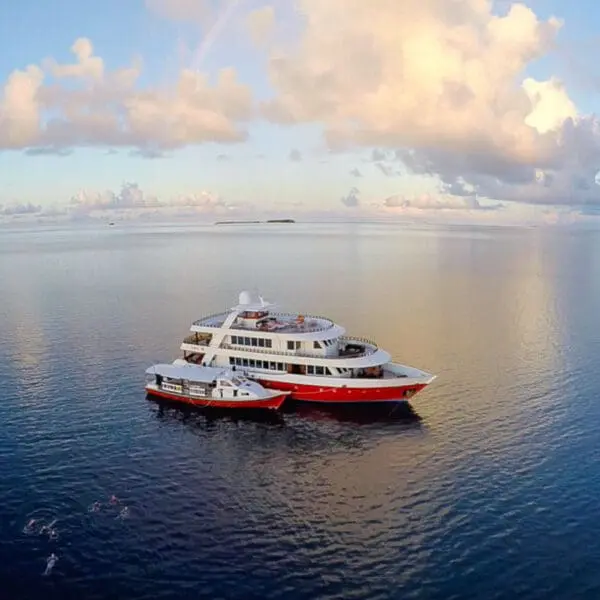 renegade surf travel Malé & Central Atolls Maldives Surf Coaching Charter stoked surf adventures