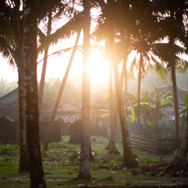 amys place krui sumatra indonesia surf trip stoked surf adventures surf camp