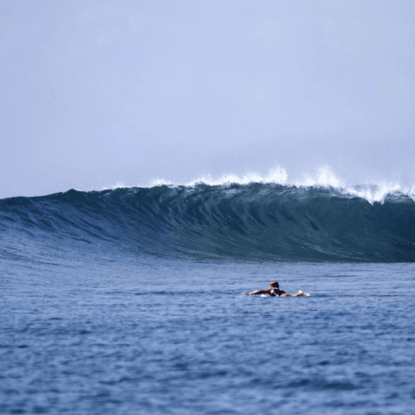 season paradise hotel thulusdhoo island maldives surf trip cokes chickens jailbreaks stoked surf adventure