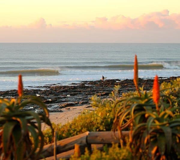 south africa surf instructor course ticket to ride isa level 1 surf coach course cape town durban