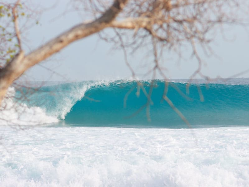 pasta point maldives surf resort cinnamon dhonveli surfer package stoked surf adventures