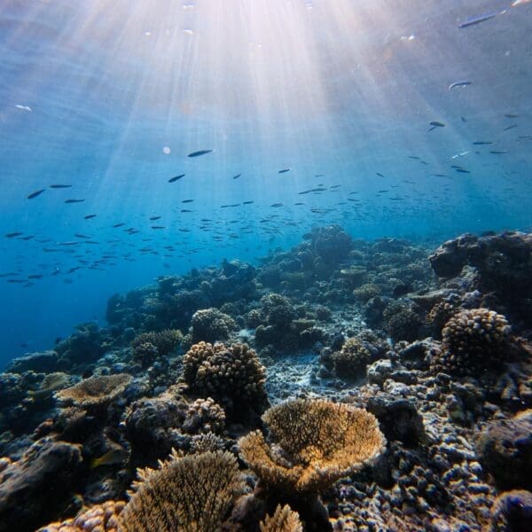 learn to surf in the maldives thulusdhoo surf camp lessons stoked surf adventures akiri surf 2