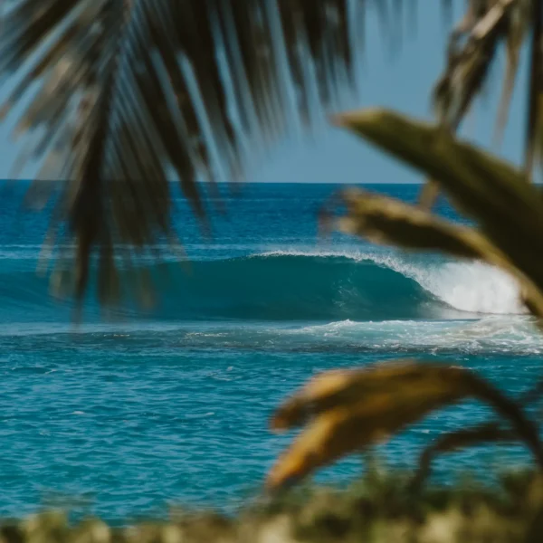 hts resort hollow trees resort mentawai islands lances right stoked surf adventure the ments