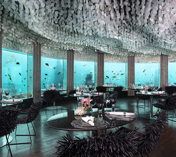 niyama private island maldives surf resort vodi surfing 2 dhaalu atoll sub six underwater restaurant