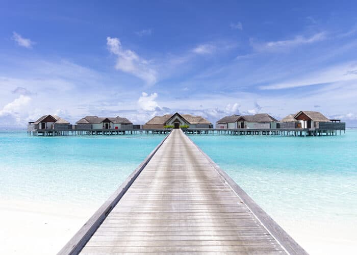 niyama private island maldives surf resort vodi the crescent