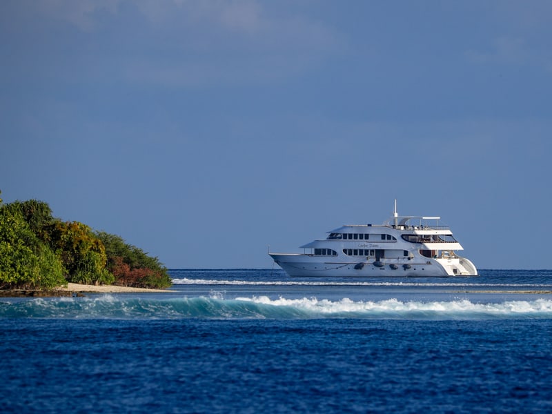 carpe diem private maldives surf charter boat stoked surf adventures