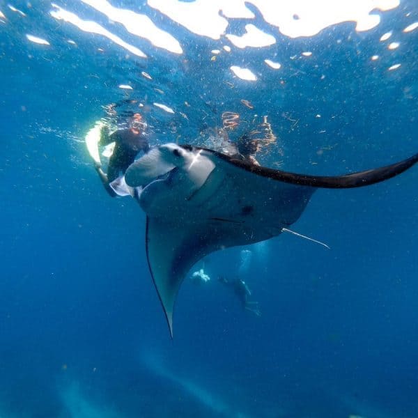 nusa lembongan surf trip surf camp mojo surf learn to surf bali indonesia