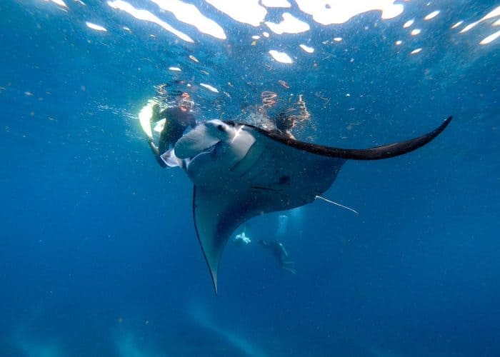 nusa lembongan surf trip surf camp mojo surf learn to surf bali indonesia