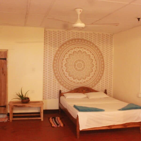 safa surf camp arugam bay sri lanka east coast learn to surf point break stoked surf adventures